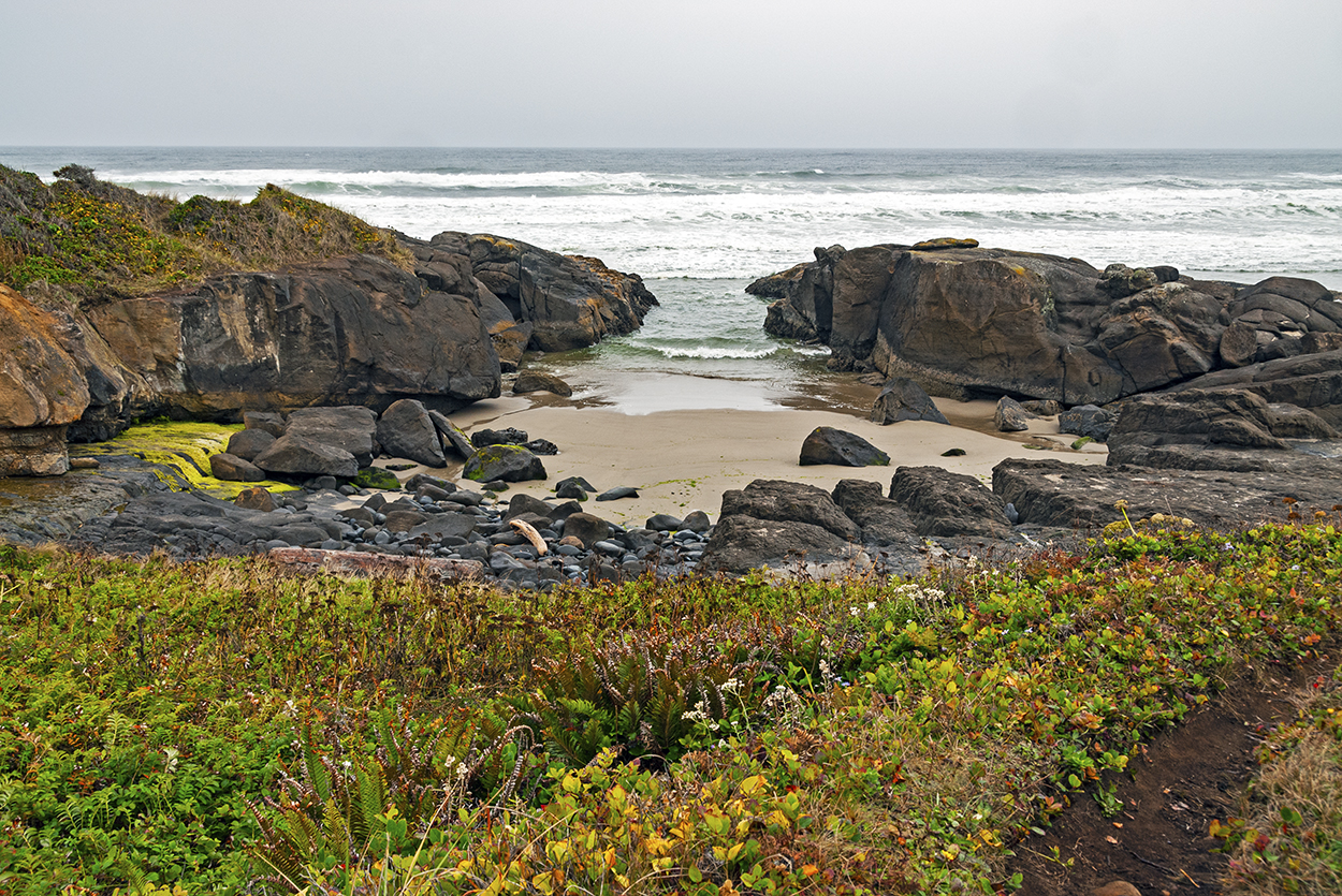 Sea Foam on the Oregon Coast - Overleaf Lodge & Spa