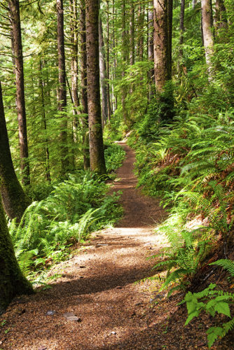 Yachats: A Beautiful Destination on the Coast of Oregon • Wander Your Way