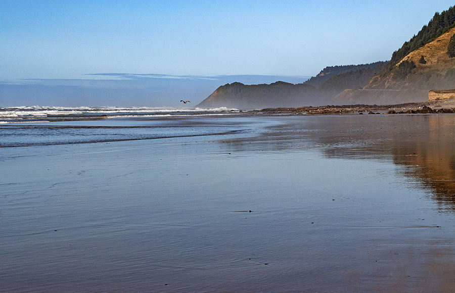 Beach near Yachats Oregon • Wander Your Way