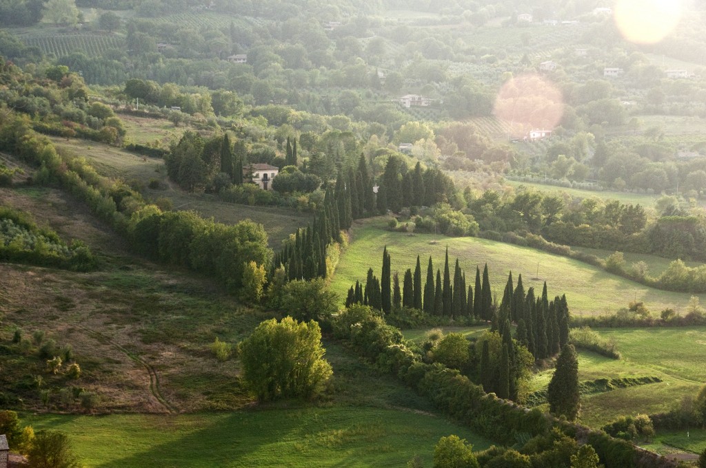 Valley near Orvieto, Umbria, Italy