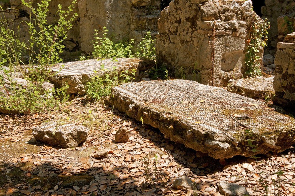 Mosaic on ground, ruins of Olympos, Turkey