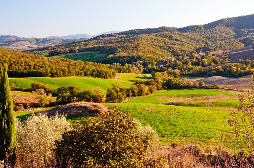 Tuscan hills of the Val d'Elsa, Italy