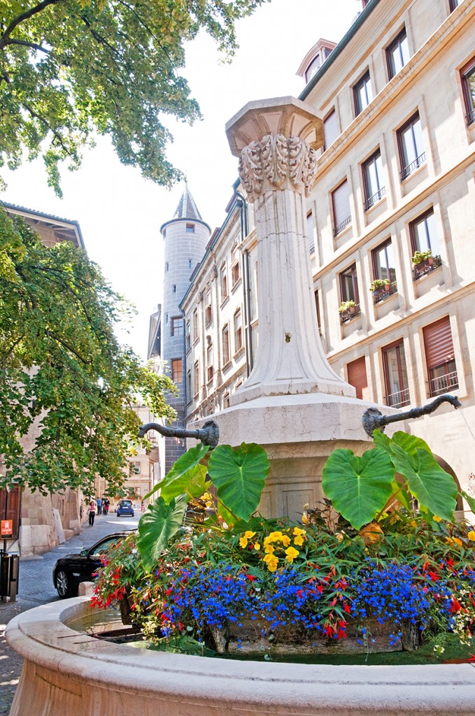 Flowers and fountain, Old Town Geneva