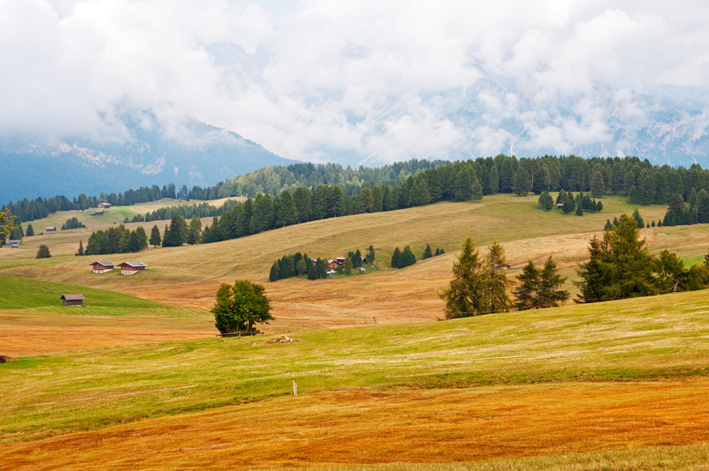 High meadow of the Alpe di Siusi area, Italy