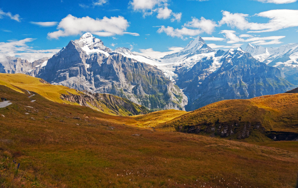 Swiss Alps near Grindelwald, Switzerland