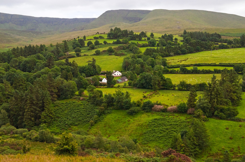 Landscape near Ballymacarbry, County Waterford, Ireland