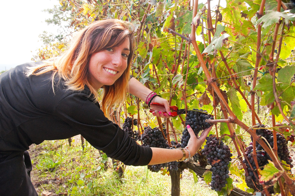 Pricilla, working the vines at Sante Marie di Vignoni near Bagno Vignoni, Italy