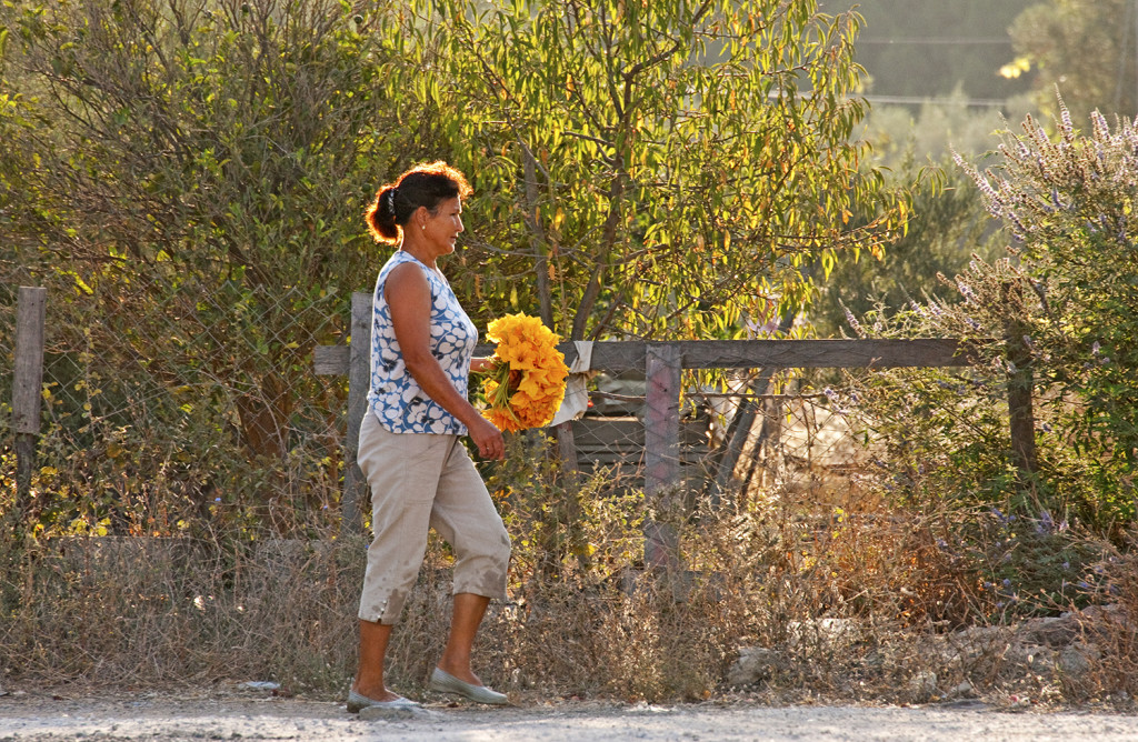 Woman carrying flowers, early morning, Bozburun, Turkey