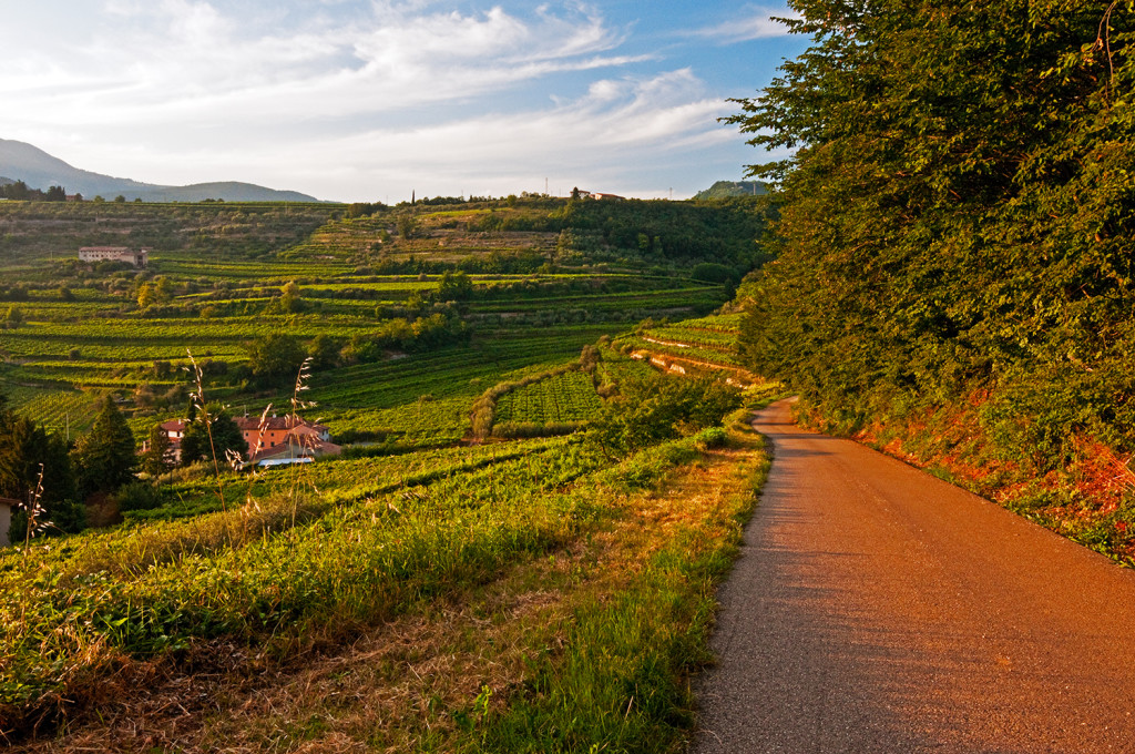 Road, hills and vineyards of Fumane, Italy, sunset