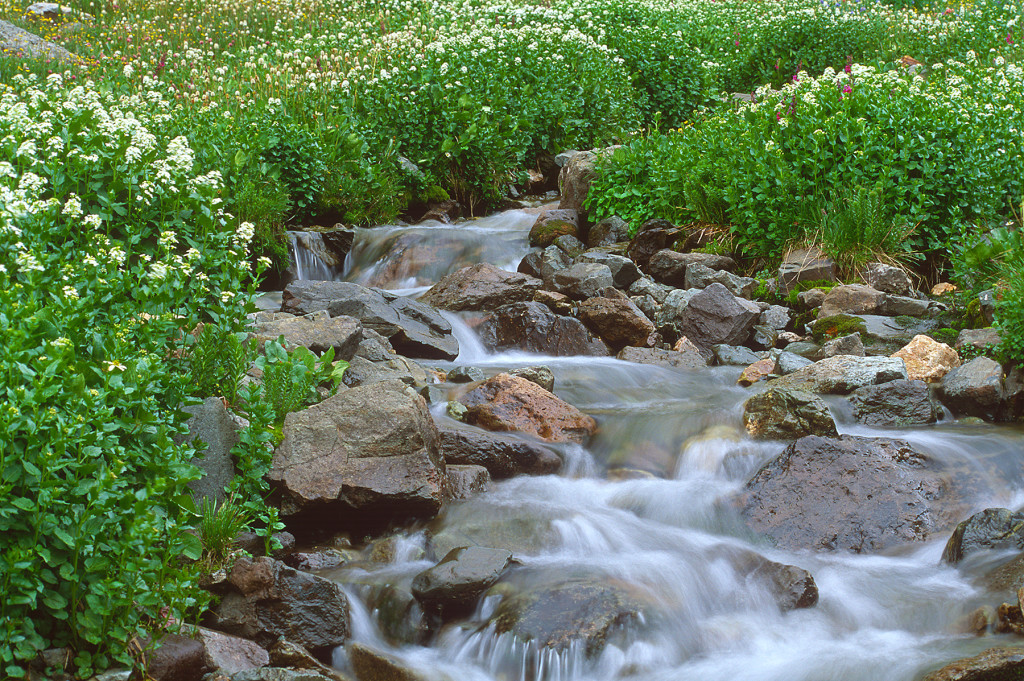 Waterfall and foliage in American Basin, near Lake  City, Colorado, USA