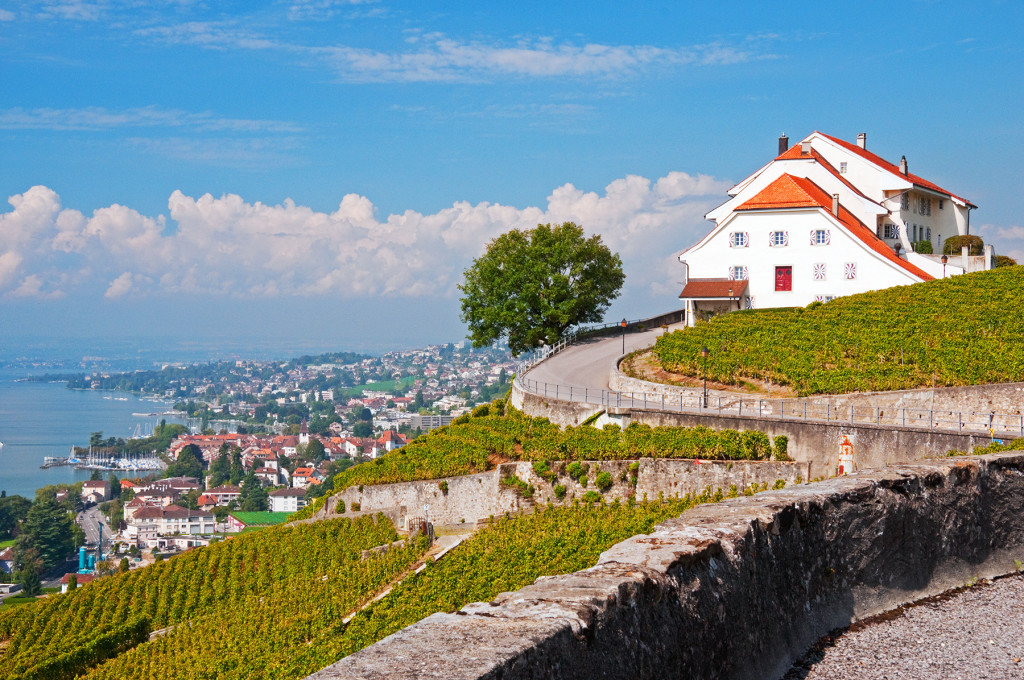 The Lavaux Terrace Vineyards along the shores of Lake Geneva, Switzerland