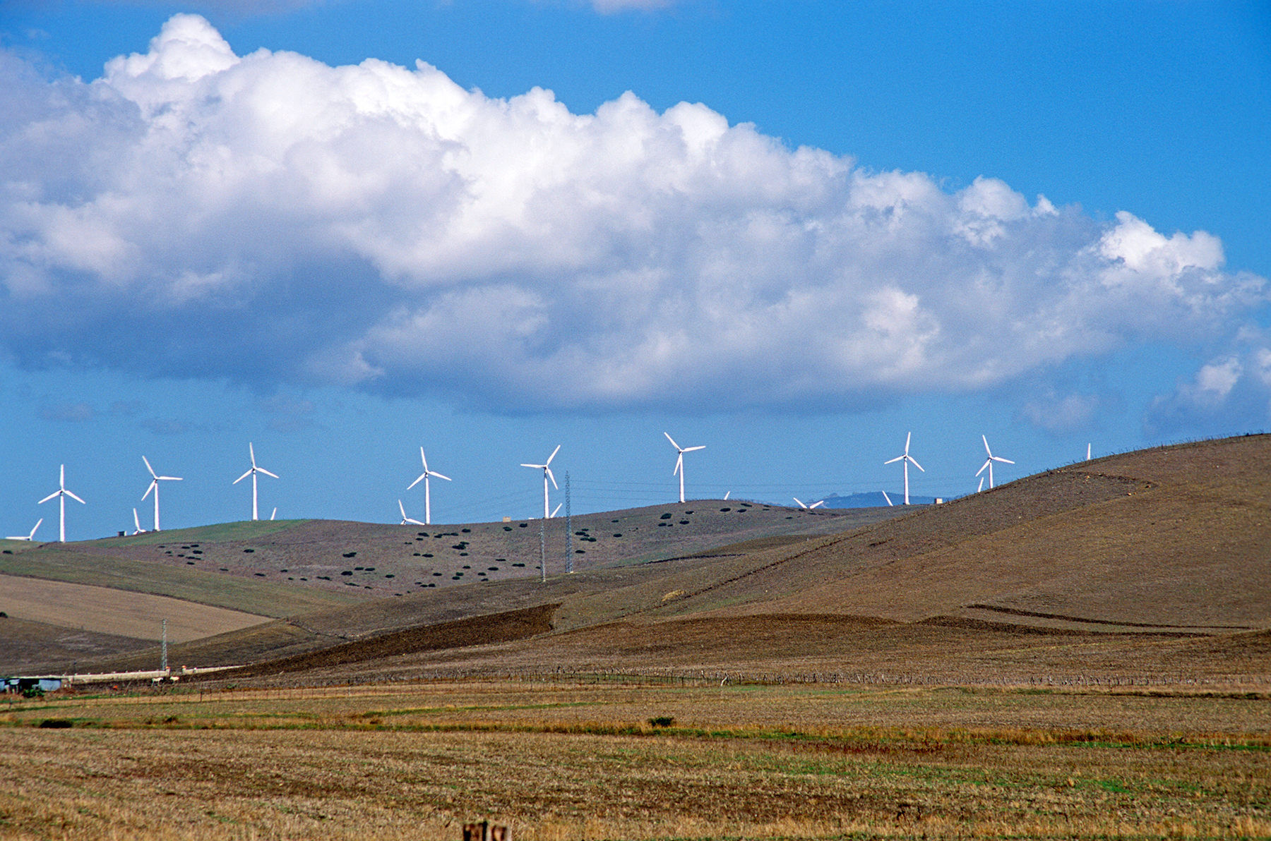 wind-farm-in-cadiz-province-spain-wander-your-way