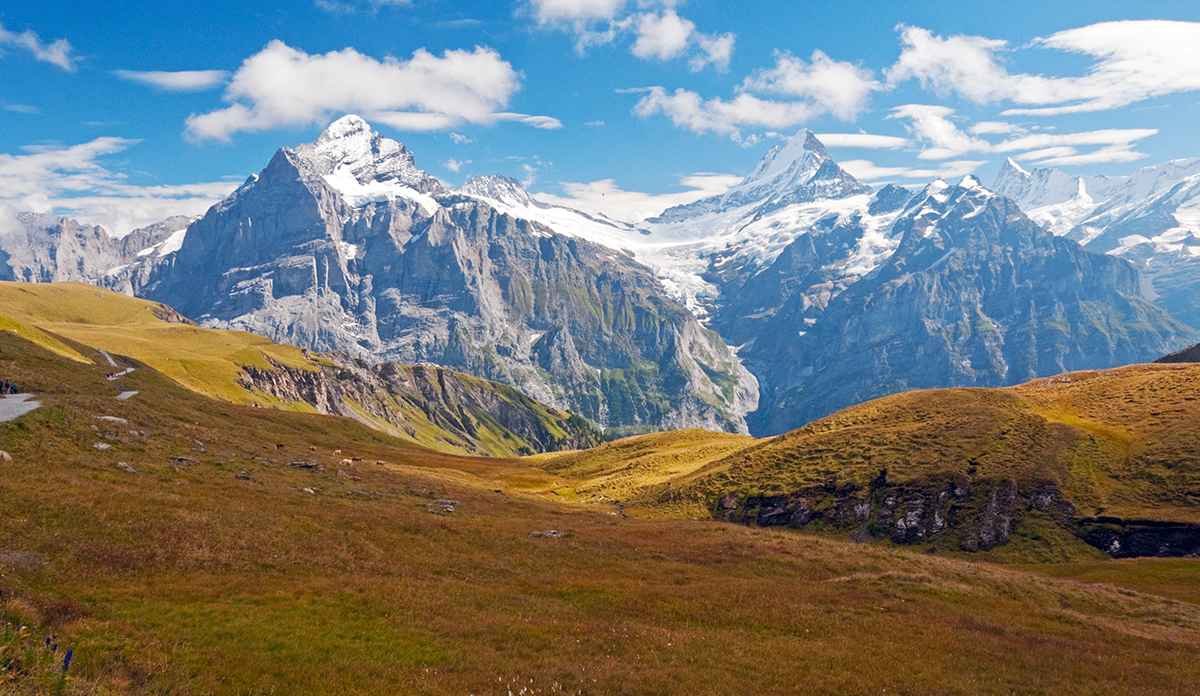 Swiss Alps near Grindelwald, Switzerland • Wander Your Way