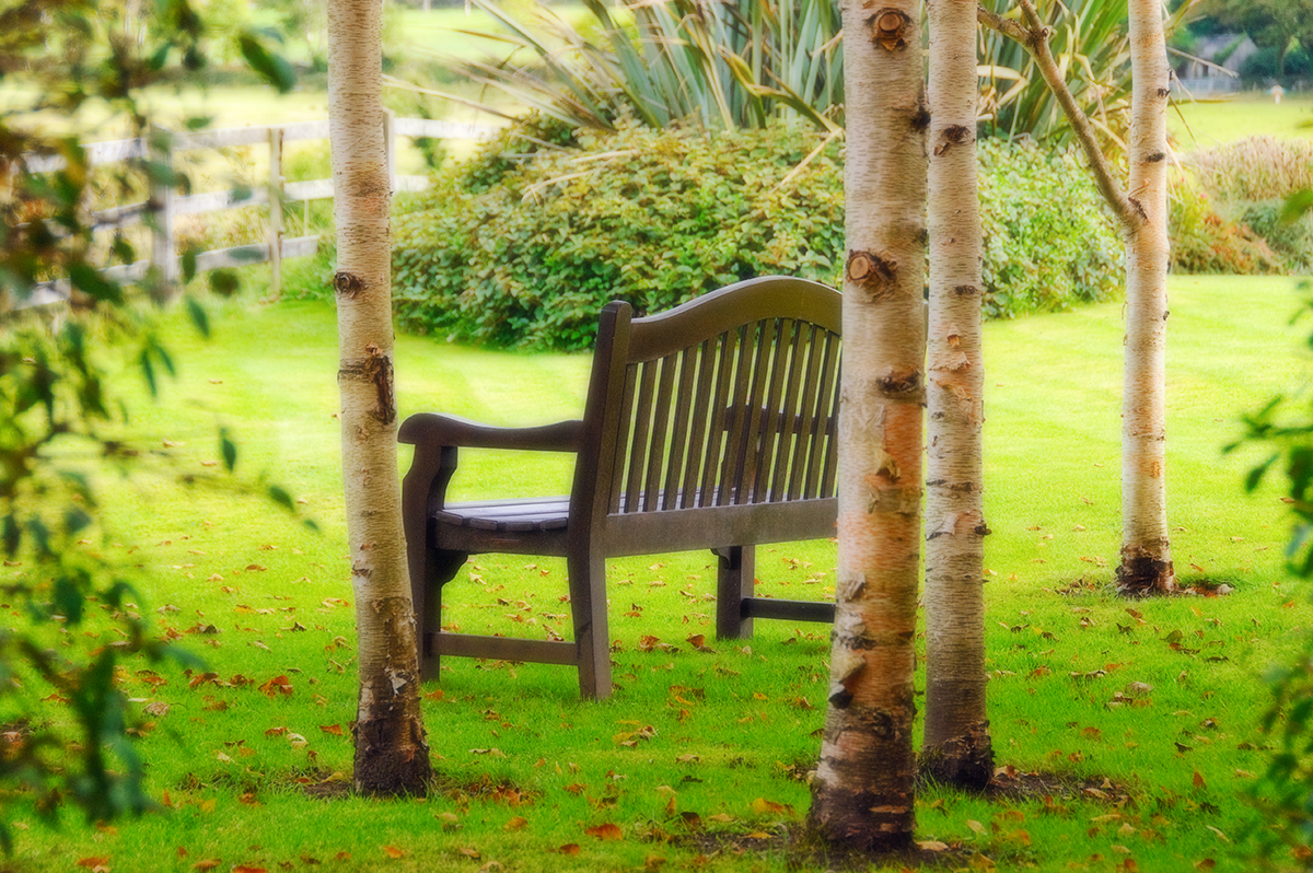 Ireland bench