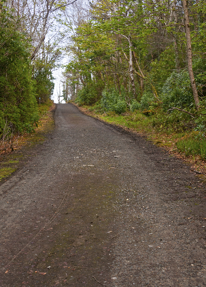 Donegal