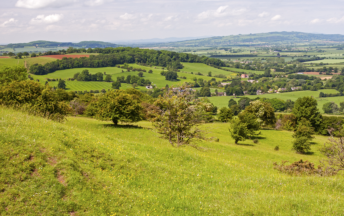 Slowing Down In The Cotswolds • Wander Your Way