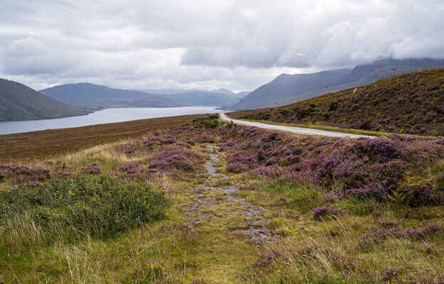 driving in Ireland & Scotland