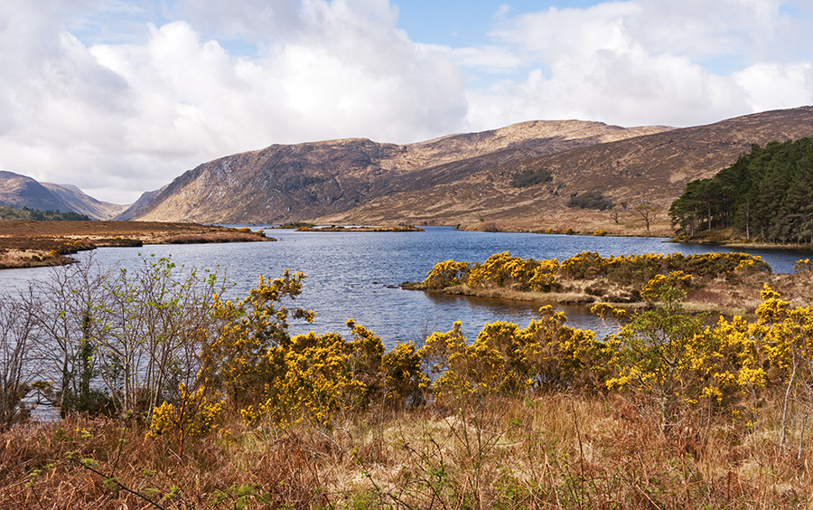 County Donegal