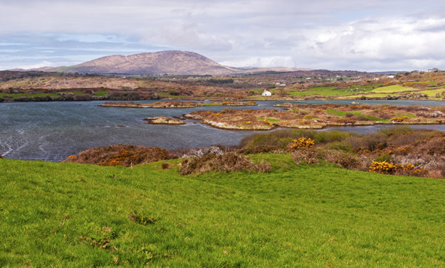 best things to do in Schull and West Cork