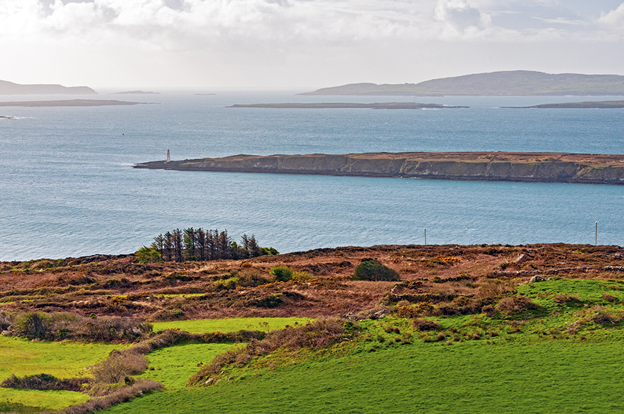 best things to do in Schull and West Cork