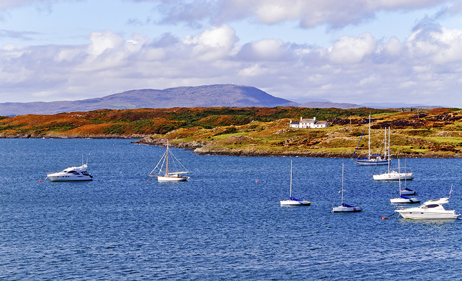 best things to do in Schull and West Cork