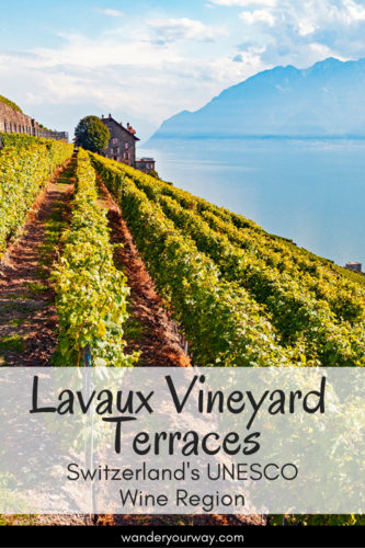 Lavaux Vineyard Terraces
