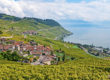 Lavaux Vineyard Terraces