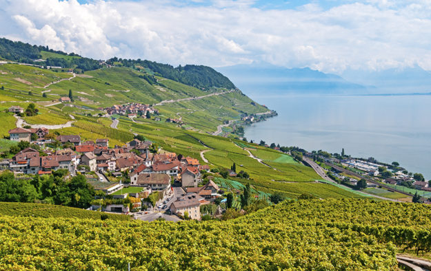 Lavaux Vineyard Terraces