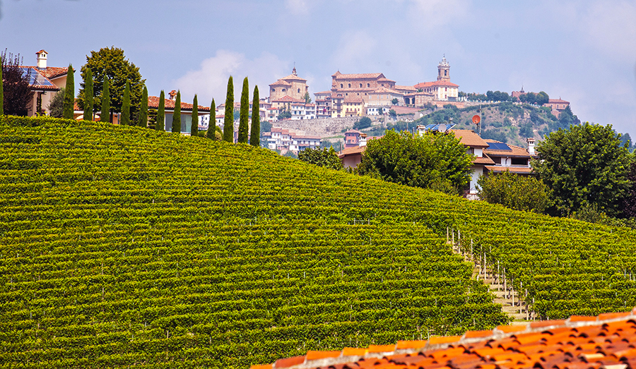 best things to do in Piedmont Italy