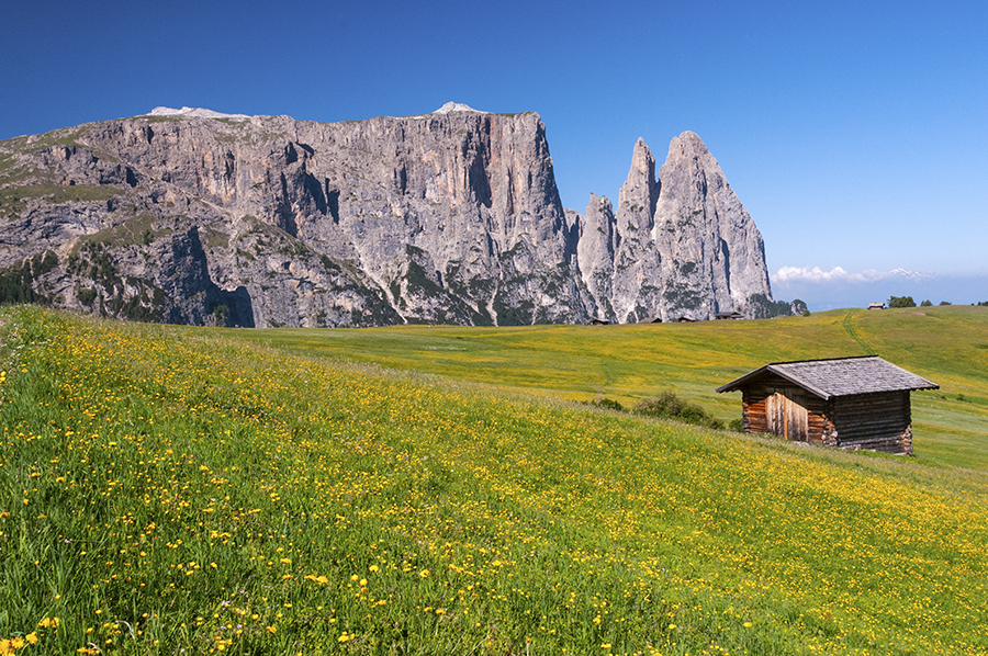 Why You Need to Visit the Stunning Alpe di Siusi Italy • Wander