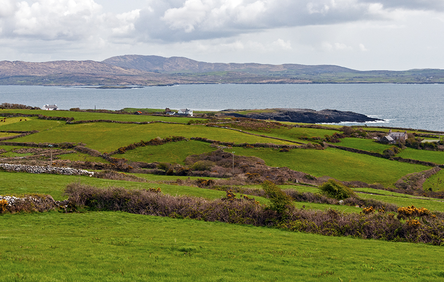 5 Reasons Why You Need to Visit Sheep's Head Ireland • Wander Your Way