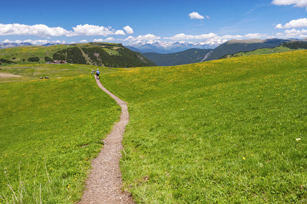 hiking in Alpe di Siusi