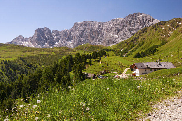 hiking in Alpe di Siusi