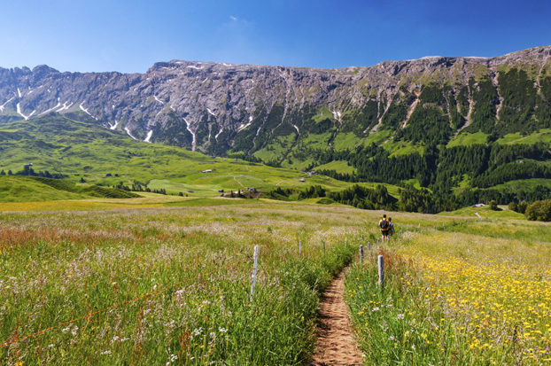 hiking in Alpe di Siusi