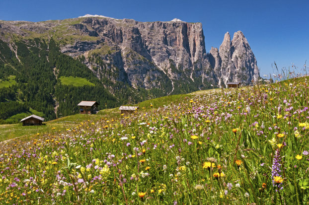 Hiking in Seiser Alm