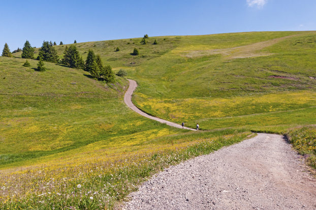 Hiking in Alpe di Siusi