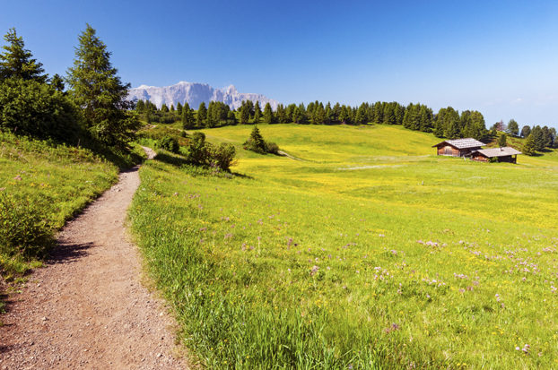 Hiking in Alpe di Siusi