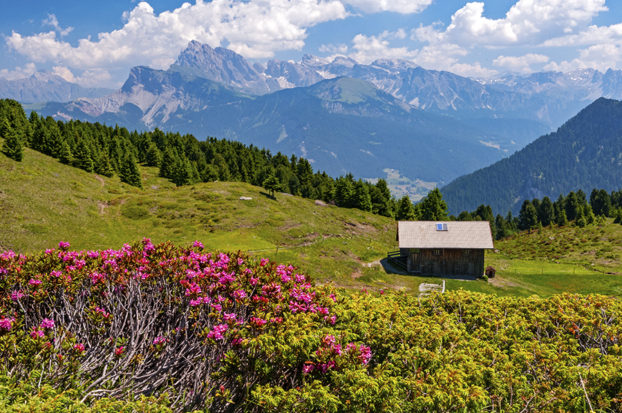 hiking in Alpe di Siusi