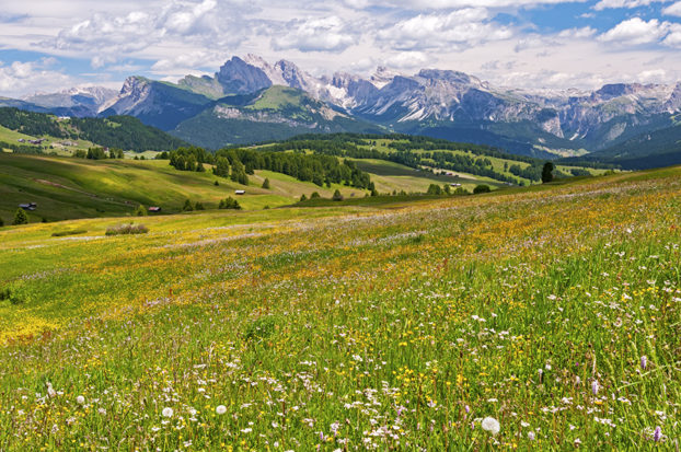 hiking in Alpe di Siusi