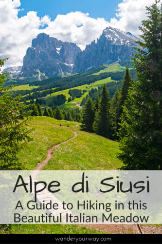 hiking in Alpe di Siusi