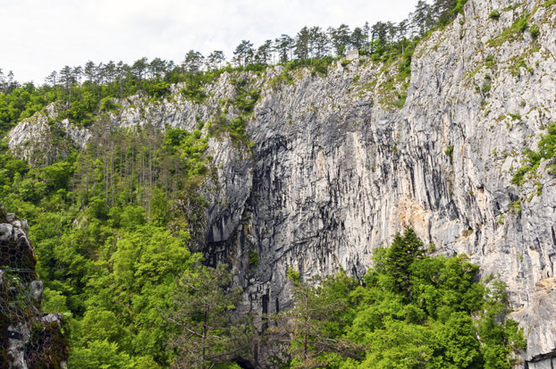 Skocjan Caves