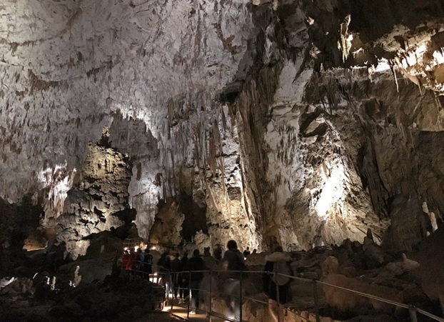 Skocjan Caves
