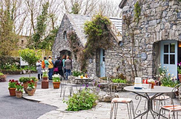 The Burren Perfumery