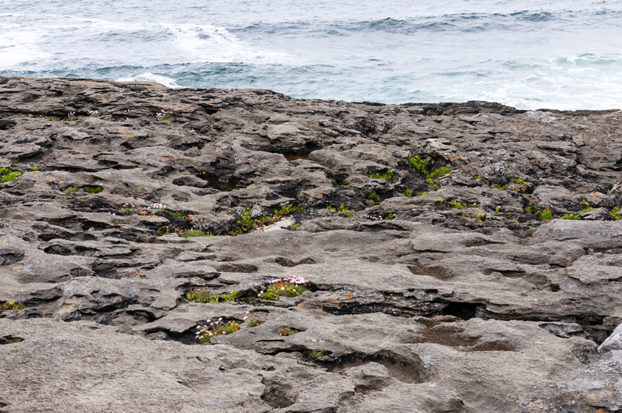 what to do in County Clare