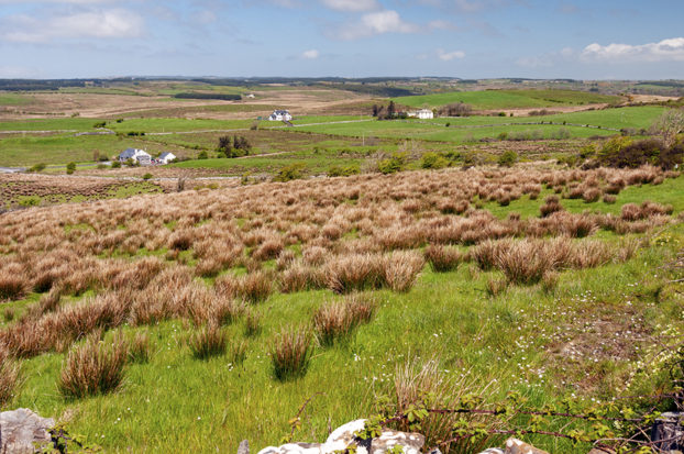 what to do in County Clare