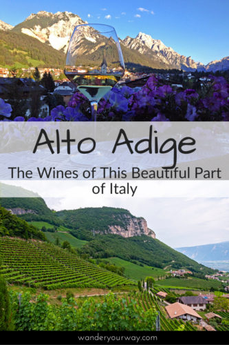 Wines in Alto Adige