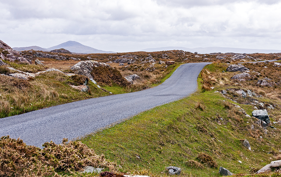 The Old Bog Road