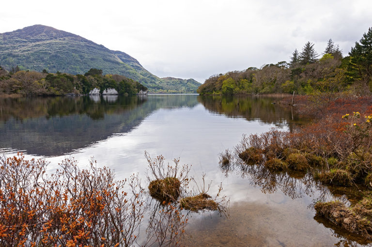 amazing experiences in Ireland