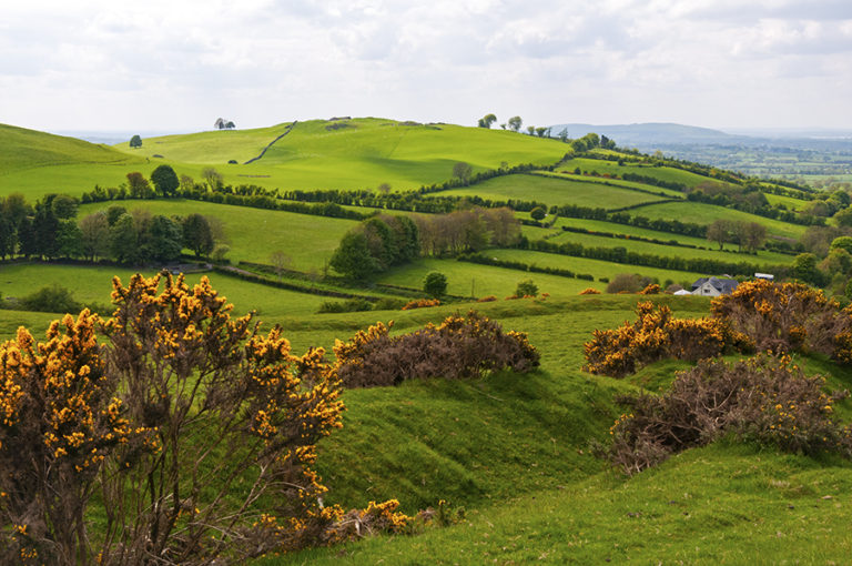 amazing experiences in Ireland