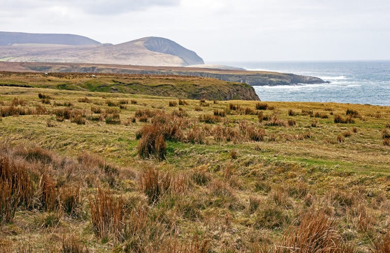 amazing experiences in Ireland
